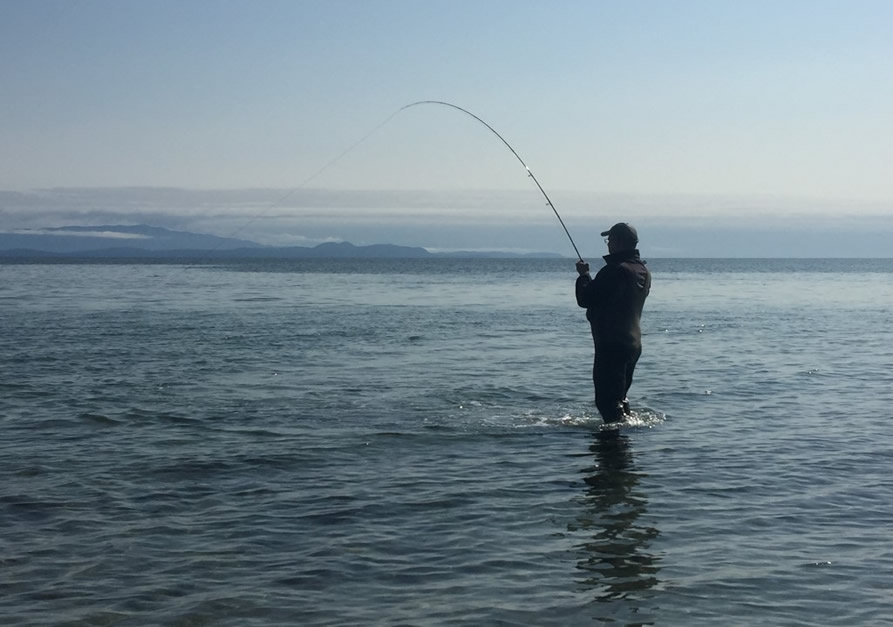 best fly for pink salmon fishing